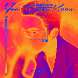 欧美日韩激情视频在线播放
