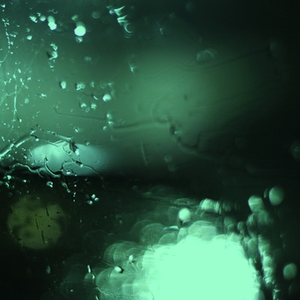 欧美日韩激情视频在线播放
