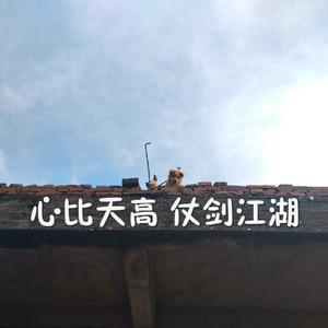 欧美日韩激情视频在线播放
